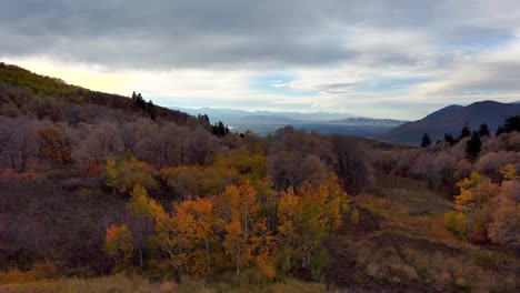 panoramic aerial view of a high mountain wilderness with full autumn colors as the aspen and oak change colors with the season