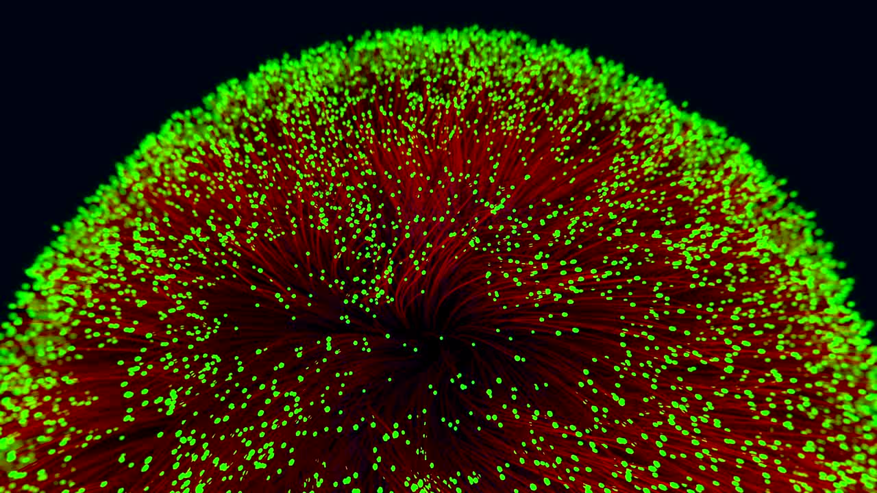 움직이는 막대기의 배경은 머리카락이나 머리카락처럼 보입니다.