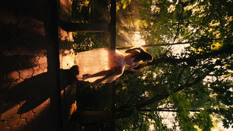 encantadora joven morena en vestido rosa posando en la jungla al atardecer