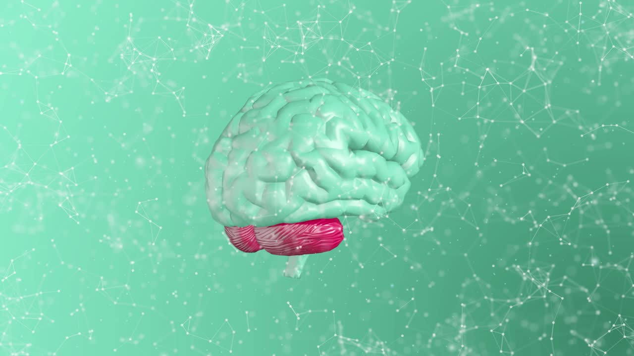 el fondo del cerebro 4k