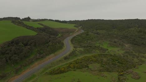 empty rural road in catlins with green vegetation during cloudy day, aerial