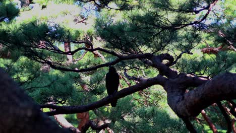 The-beautiful-view-in-Rikugien-Gardens