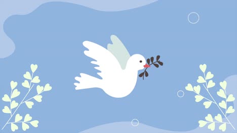 peace dove with branches animation