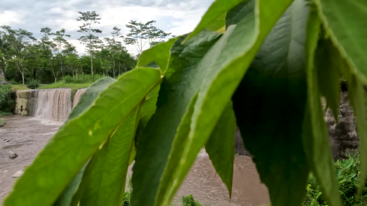 물은 진과 화산 재를 지니고 있기 때문에 구름이 많은 폭포의 전망은 차가운 용암 흐름의 경로입니다.