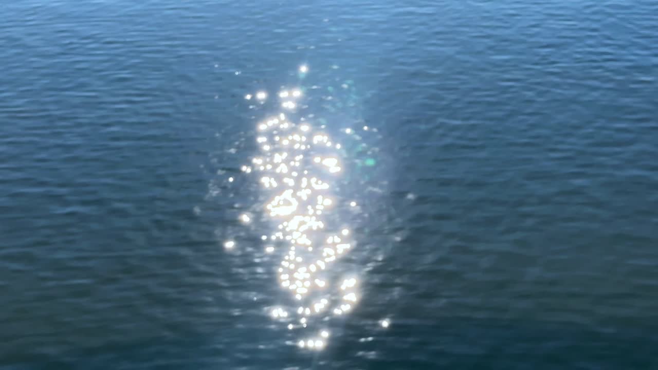 빛을 반사하는 평온한 바다와 희미한 수중 인물, 도쿄, 일본