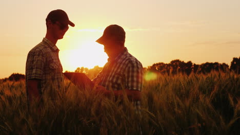 the farmer signs a contract on the field business partners shake hands agribusiness deal