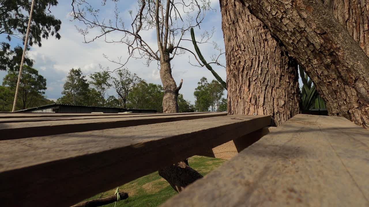 casa del árbol con plataforma de tablones de madera en el jardín campestre primer plano