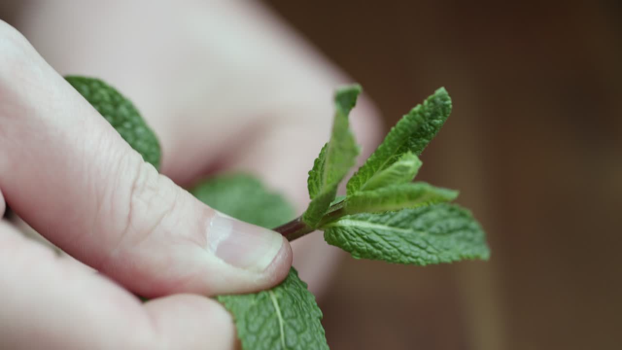 primer plano de un hombre arrancando un poco de menta fresca en la cocina con la mano