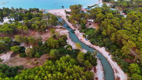 scenic river in lush forest. a winding river meanders through a dense forest, showcasing nature's beauty and serenity during daylight hours