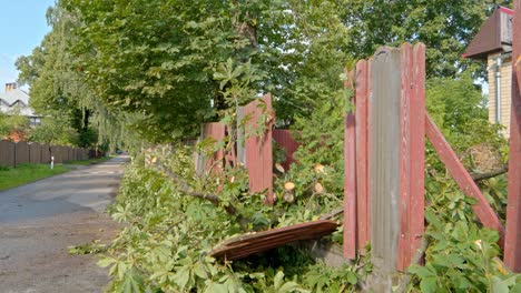 tilt-up from destroyed fence and fallen tree as result of summer storm