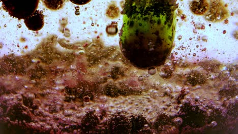 bubbles in oil and water with ink behind glass