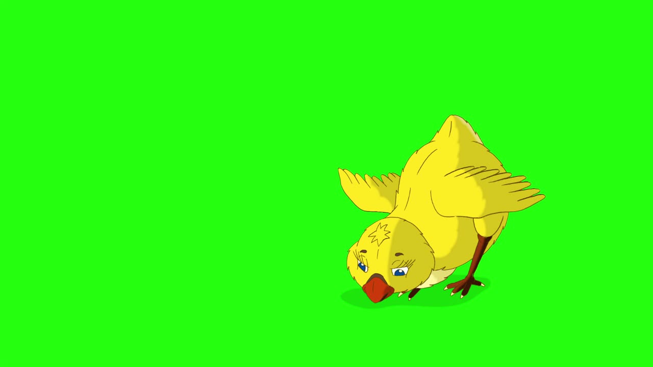 Little yellow chicken (chroma key)