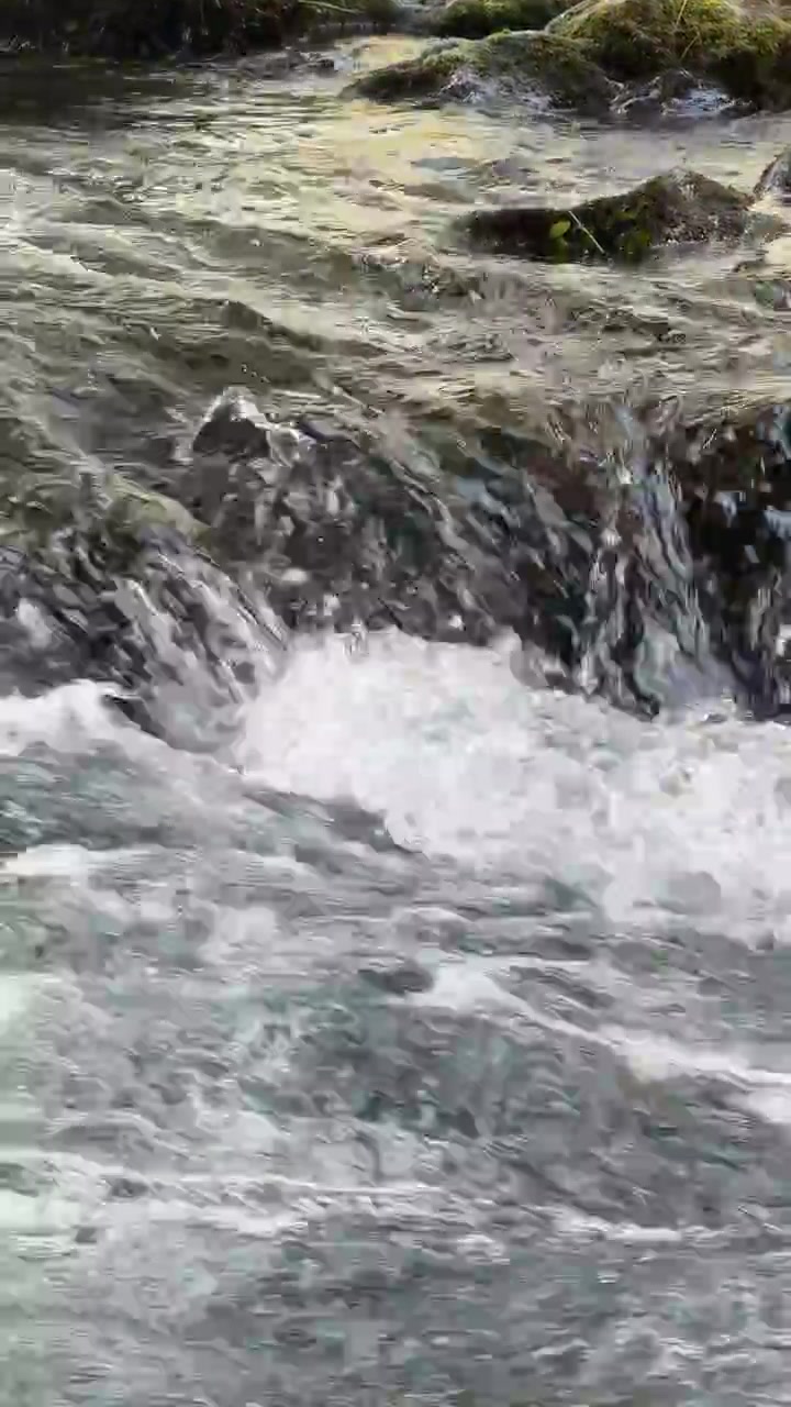 Acqua limpida che scorre sulle rocce in un ruscello di montagna