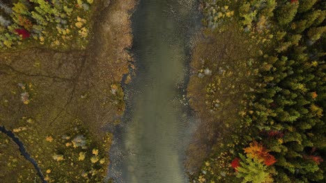 a bird's eye point of view track of a small river in michigan