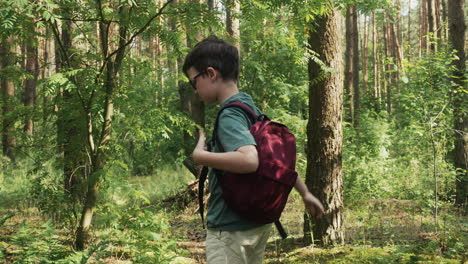 Boy-walking-in-the-forest