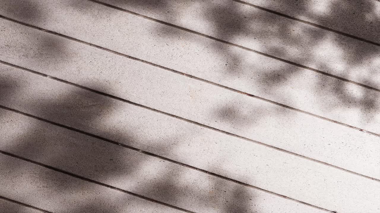 Moving Tree Leaf Shadows on a Textured Wall Surface