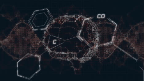 Animación-Del-Procesamiento-De-Datos-Científicos-Sobre-El-Cerebro-Humano.