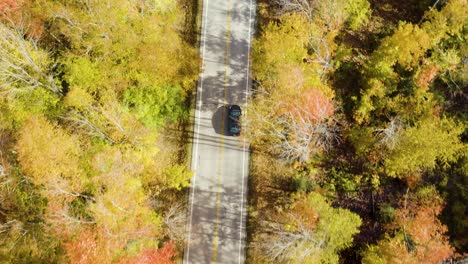 Antenne-Folgendes-Auto-Beschleunigt-Auf-Der-Straße-Durch-Bäume-Mit-Herbstlaub