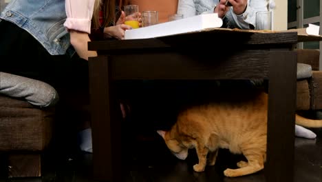 gato rojo debajo de la mesa, comiendo migas, mientras que los amigos jóvenes comiendo pizza y hablando