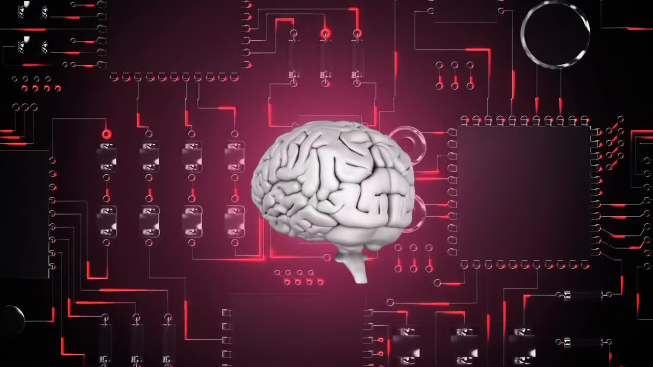 Brain and digital circuit