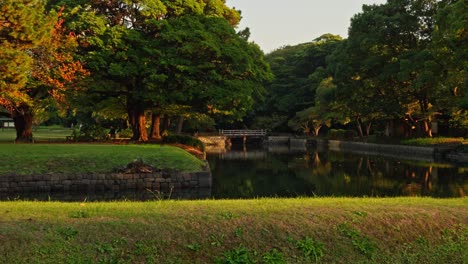a serene japanese garden with lush trees, a calm pond, and a stone bridge, bathed in golden hour light.