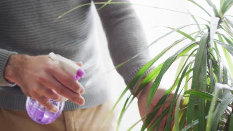 Video-of-midsection-of-caucasian-man-watering-houseplant-at-home,-misting-with-spray,-copy-space