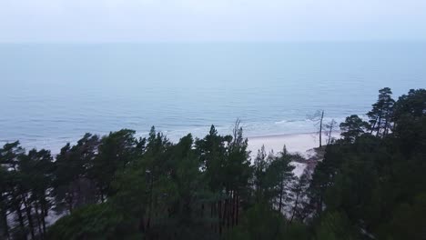 Aerial-view-of-Baltic-sea-coastline-at-Bernati-beach-in-Latvia,-flying-forward-over-green-coastal-pines-and-over-the-white-sand-beach,-sea-erosion-affected-coastline,-wide-angle-revealing-drone-shot