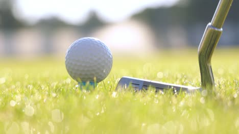 hand in glove placing golf ball on tee