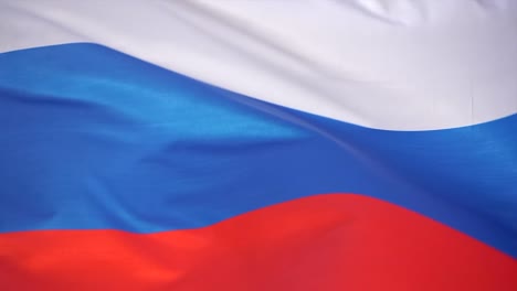 the russian flag flutters in the wind. real russian flag background