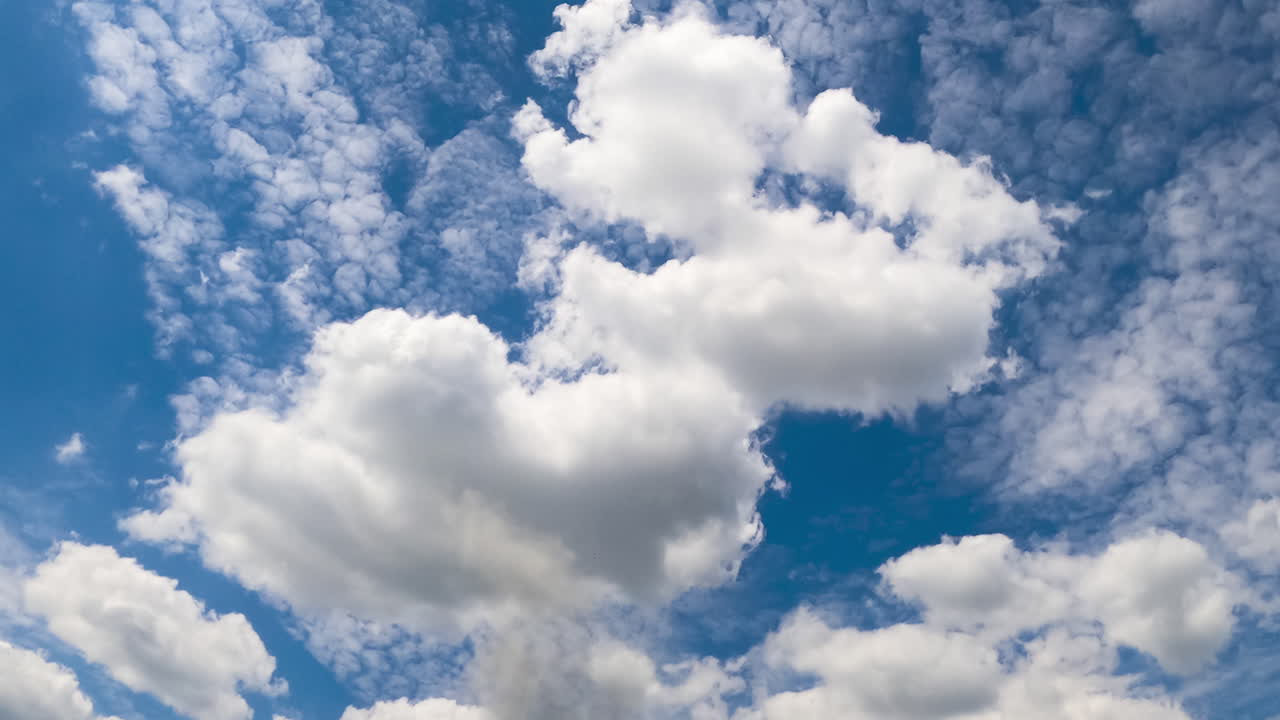 Fluffy white clouds forming in the atmosphere. Light stratus cloudscape at backdrop. Low angle view. Timelapse.