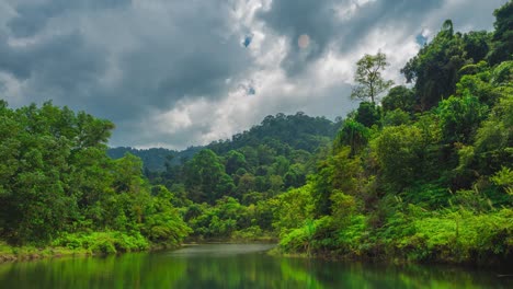bosque tópico verde en la mañana un día nublado lluvioso. hermosa naturaleza paisaje pantalla 4k time-lapse. bosque tropical en un día nuboso. timelapse de nubes grises que se mueven rápidamente y se reflejan en el agua