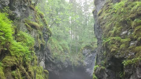 misty forest canyon with waterfall