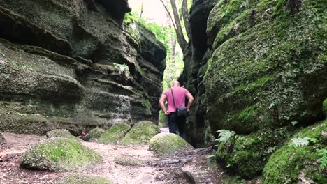 a static shot of scenic view of nelson kennedy ledges state park