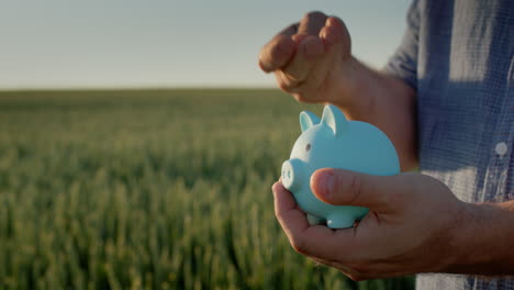 El-Granjero-Pone-Monedas-En-Una-Alcancía,-Se-Encuentra-En-El-Fondo-De-Un-Campo-De-Trigo-Todavía-Verde