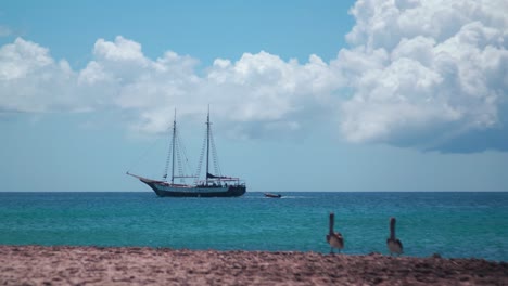 Beautiful-shot-of-pelicans-in-the-Caribbean-with-pirate-ship-in-background