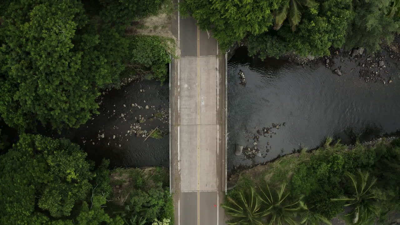 puente de doble carril en el bosque sobre el río con coche conduciendo, aérea directamente por encima