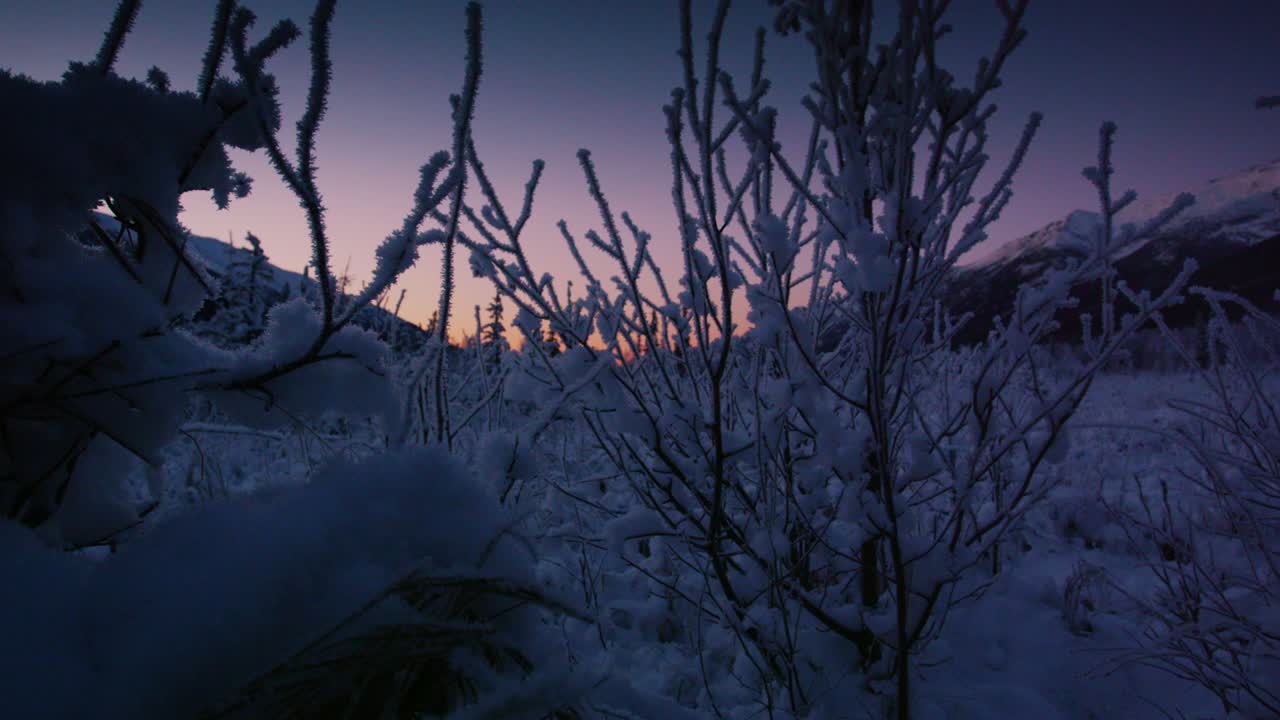 escena de invierno nevada al crepúsculo en el parque estatal de chugach, alaska