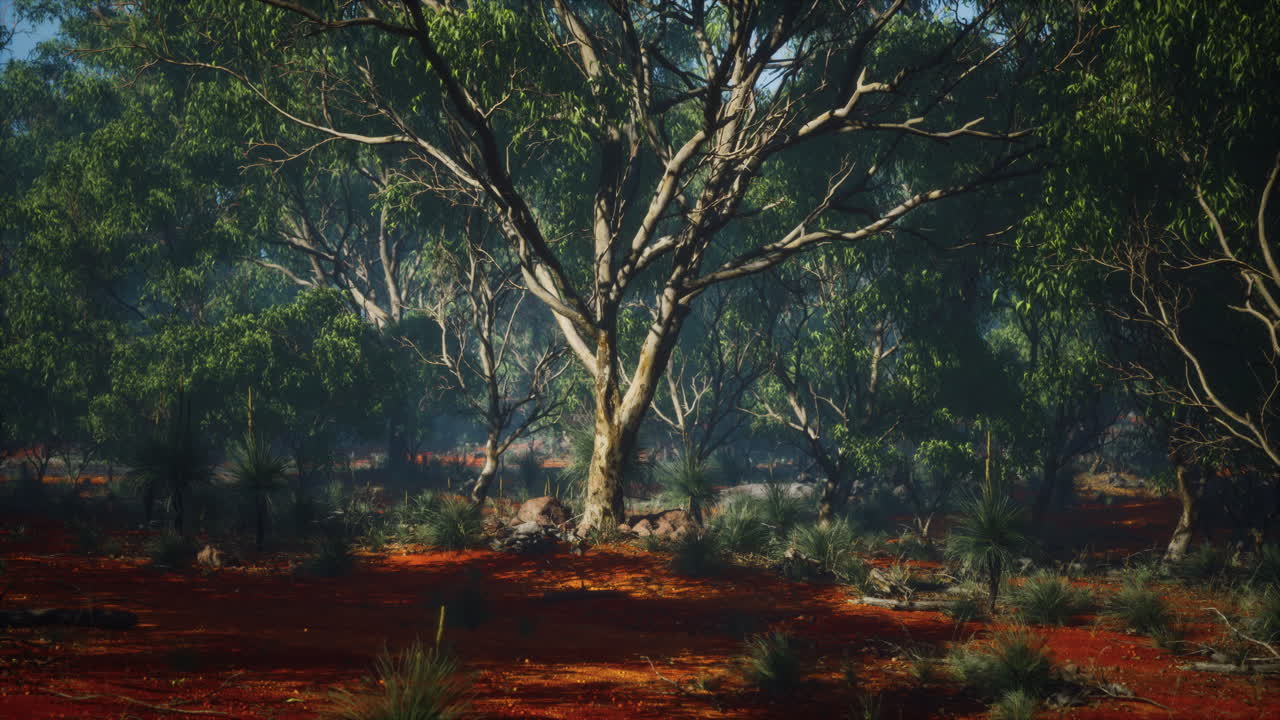 vegetación costera con árboles y arbustos