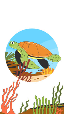 une animation d'une illustration de tortue de mer dessinée à la main