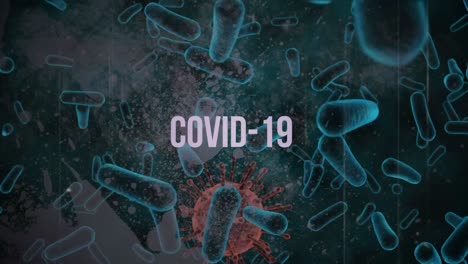 Animation-of-word-Covid-19-flashing-over-macro-Covid-19-cells-floating