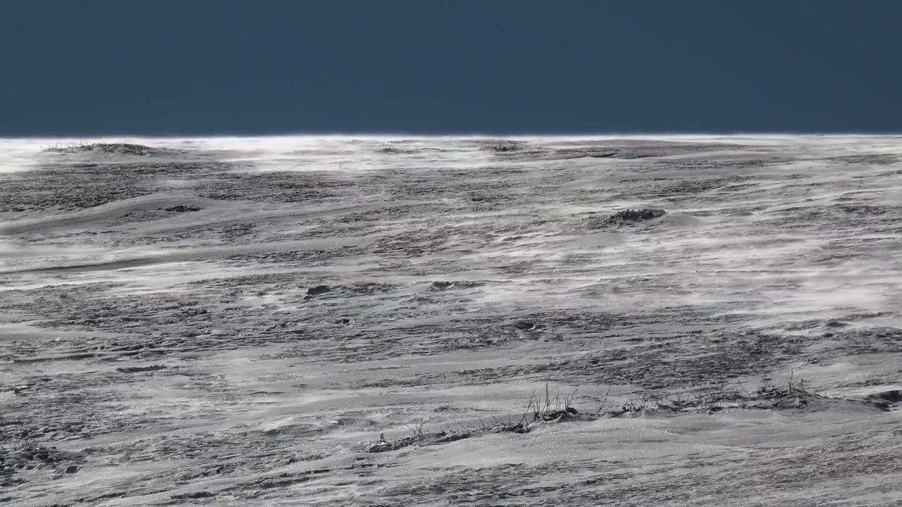 Vento forte che soffia neve attraverso un paesaggio di tundra ghiacciata