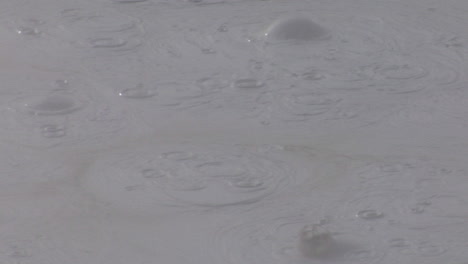 A-Gray-Mud-Pit-Bubbles-At-Yellowstone-National-Park-2