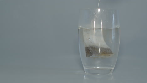 tea bag being put in glass of hot water