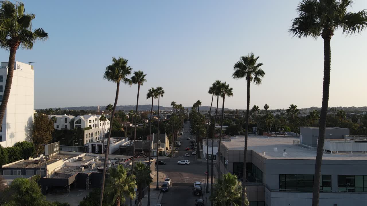 Strada fiancheggiata da palme a Beverly Hills