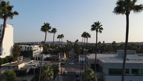 Calle-Bordeada-De-Palmeras-En-Beverly-Hills