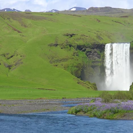 Der-Wunderschöne-Sk_____‚gafoss-Wasserfall-In-Island-Fällt-über-Eine-Spektakuläre-Klippe-1