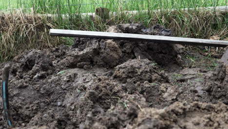 man's foot stepping on shovel, digging trench at the garden