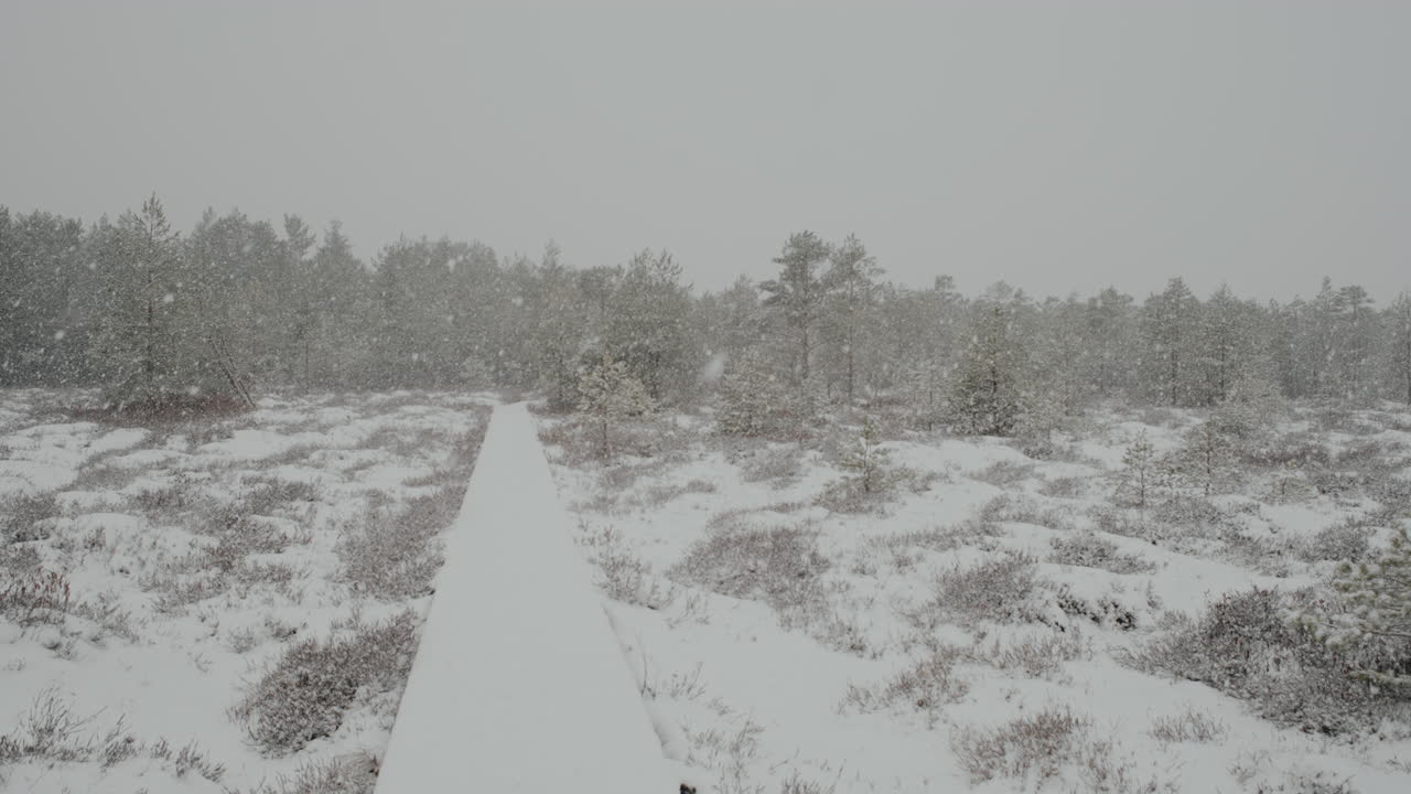 3월 리투아니아의 늪지대