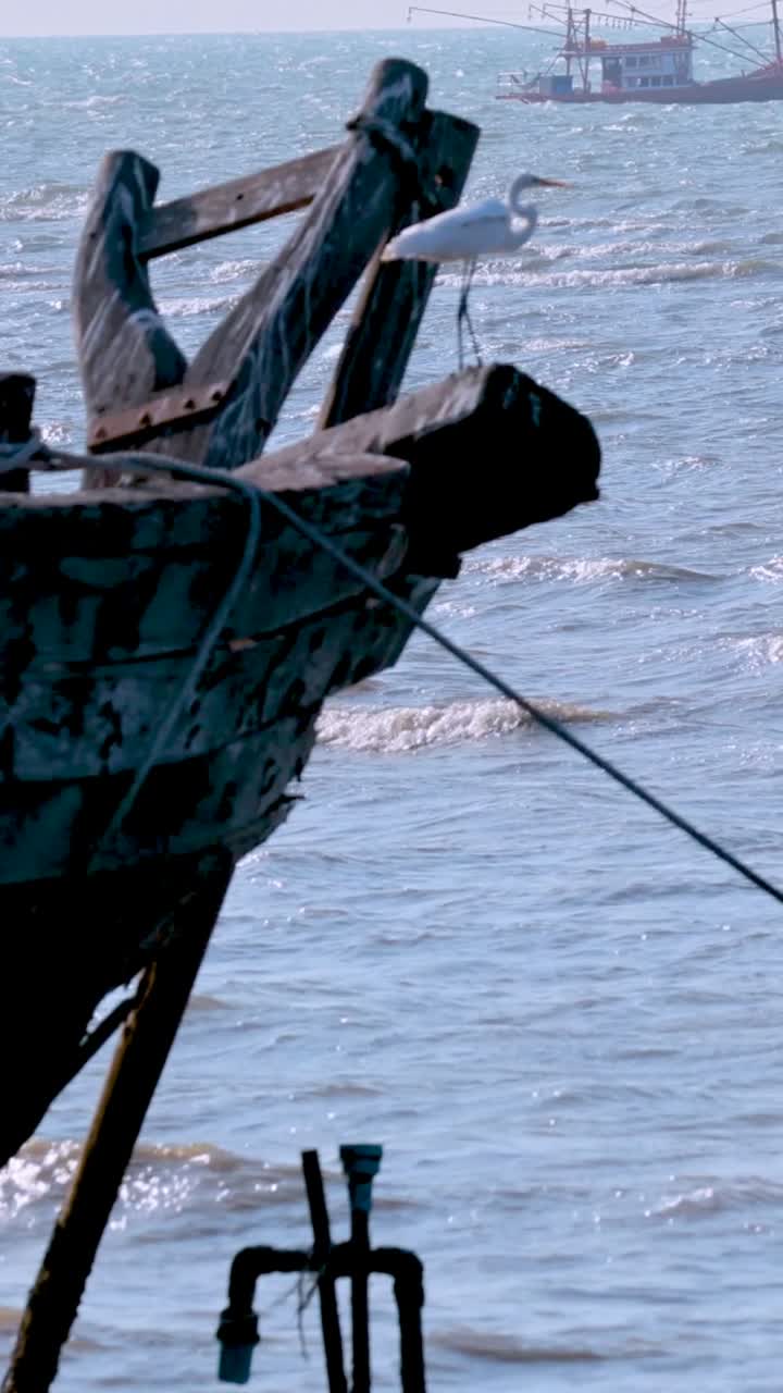 파타야 의 해안 해역 에 정박 한 배