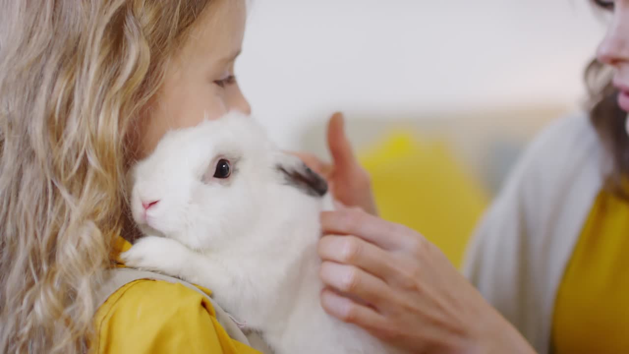 귀여운 토끼를 가진 소녀